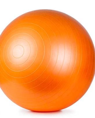 Fitball gymball