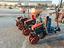 Immagine 5