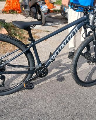 bici rockhopper specialized 