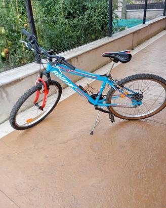 bicicletta MTB 