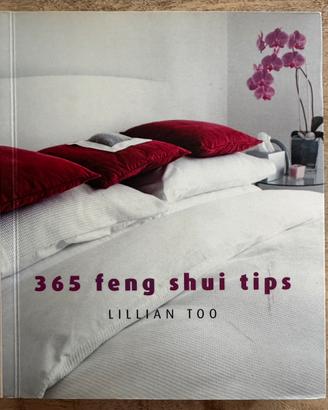 Libro 365 Feng Shui Tips in inglese