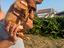 Immagine 6