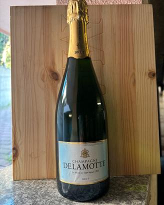 Bottiglia Delamotte