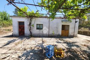CASA INDIPENDENTE A SANT'AGATA DE' GOTI