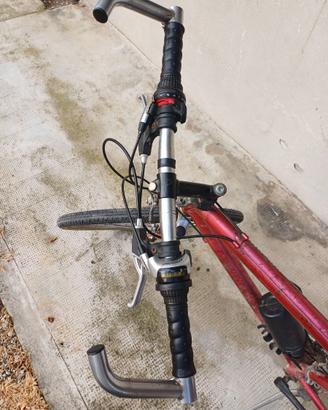 Mountain bike
