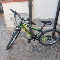 Bicicletta Montana
