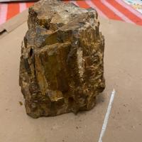 Pietre legno fossile Aquario