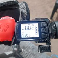 monopattino elettrico ruote 12"