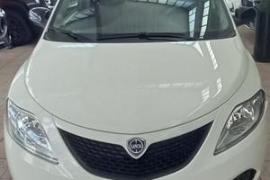 LANCIA Ypsilon 1.2 69 CV 5 porte Gold