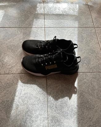 Puma retaliate 2
