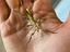 Immagine 1