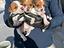 Immagine 1
