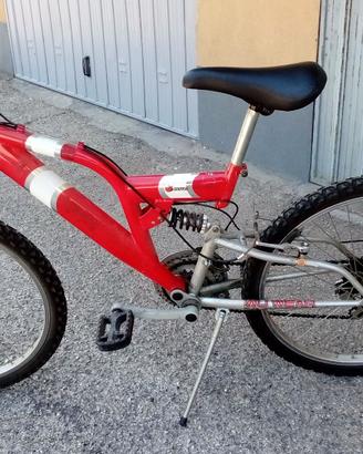 Bici mountain bike
