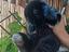 Immagine 4