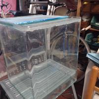 terrario h 30 x 25 x25 Geco baby-insetto stecco