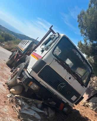 Camion gru Mercedes e bremach 4x4