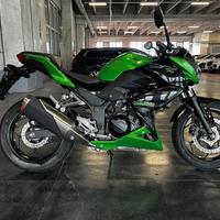 Kawasaki Z 300