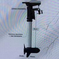 Fuoribordo elettrico