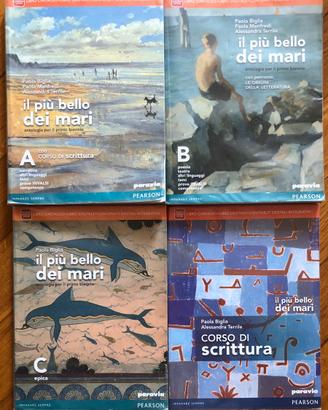 Libri di italiano