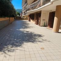 Mercogliano: Appartamento con terrazzo e giardino