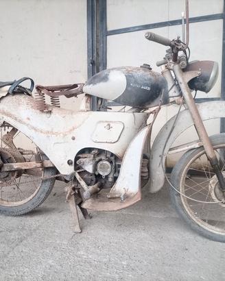 Moto Guzzi Zigolo