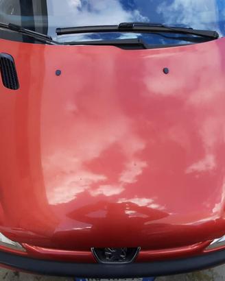 PEUGEOT 206 CC - COFANO ANTERIORE