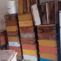 Arnie con melario a telaini