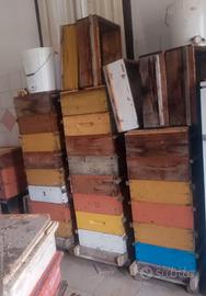 Arnie con melario a telaini