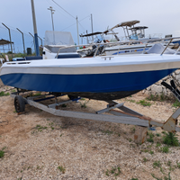 Gamar 21 più evinrude 90cv