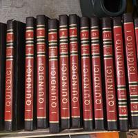 Collana I quindici ed 1984 copertina in vinile