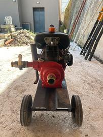 Motopompa acqua ercolino