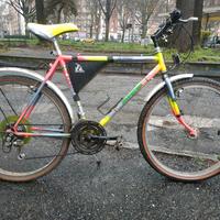 Mountain bike Speed 26 portapacchi perfetta euro55