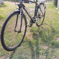 bicicletta olimpia 