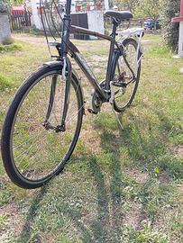 bicicletta olimpia 