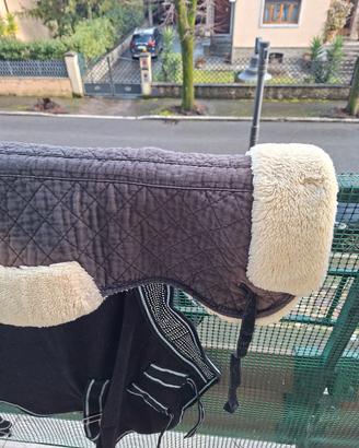 agnellino ,sottopancia e coprisottopancia pelo mar