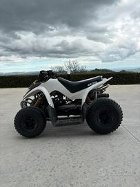 QUAD AEON MINIKOLT 50 cc