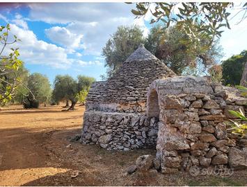 Uliveto con trullo a due coni