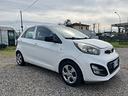 kia-picanto-1-0-12v-5-porte-trendy