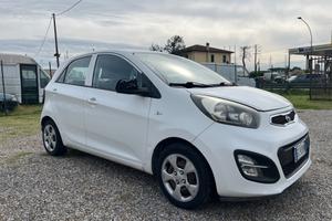 Kia Picanto 1.0 12V 5 porte Trendy