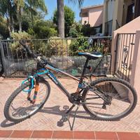 Bici con ammortizzatore