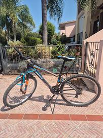 Bici con ammortizzatore