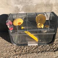 2 gabbie per animali