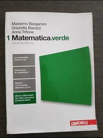 Libro Matematica. verde1