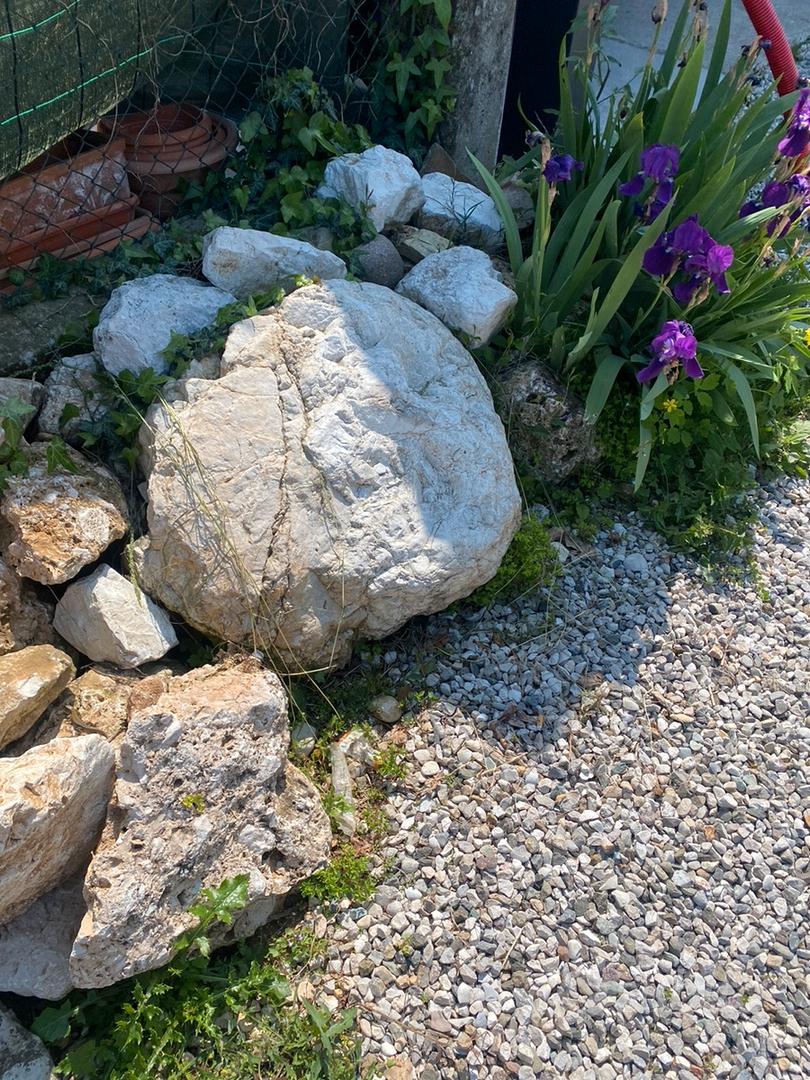 Sassi grandi per arredo giardino Giardino e Fai da te In vendita a Treviso