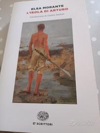l'isola di Arturo 