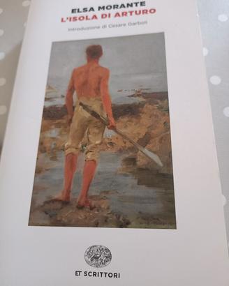 l'isola di Arturo