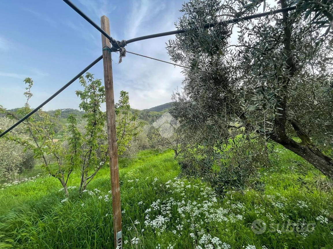 TER. AGRICOLO A PIEVE A NIEVOLE - Altro
