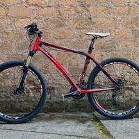 MTB in carbonio front artigianale Pennarola Torino