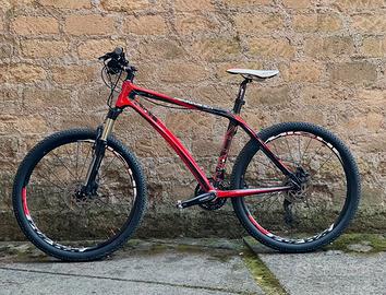 MTB in carbonio front artigianale Pennarola Torino