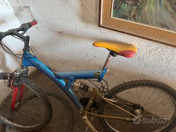 Bici da ragazzo